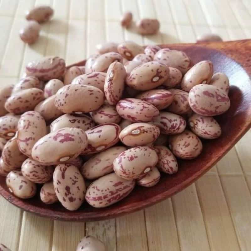خرید لوبیا چیتی آذوقه + قیمت فروش استثنایی
